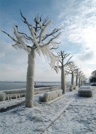 Illustration for article titled These alien-looking ice sculptures formed all on their own